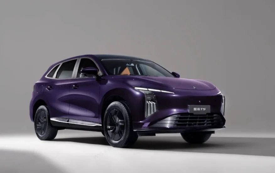 Dongfeng Forthing Xinghai T5 EV — фото модели