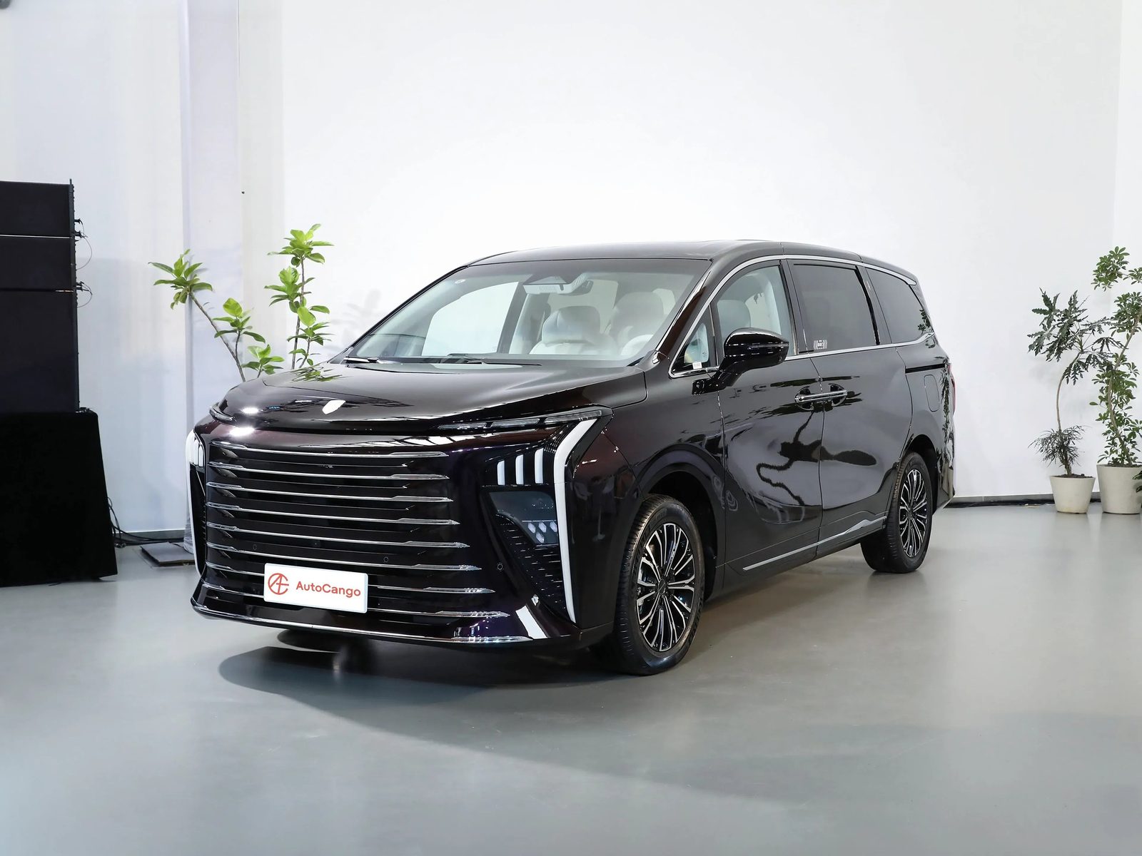 Dongfeng Forthing Xinghai V9 PHEV — фото модели