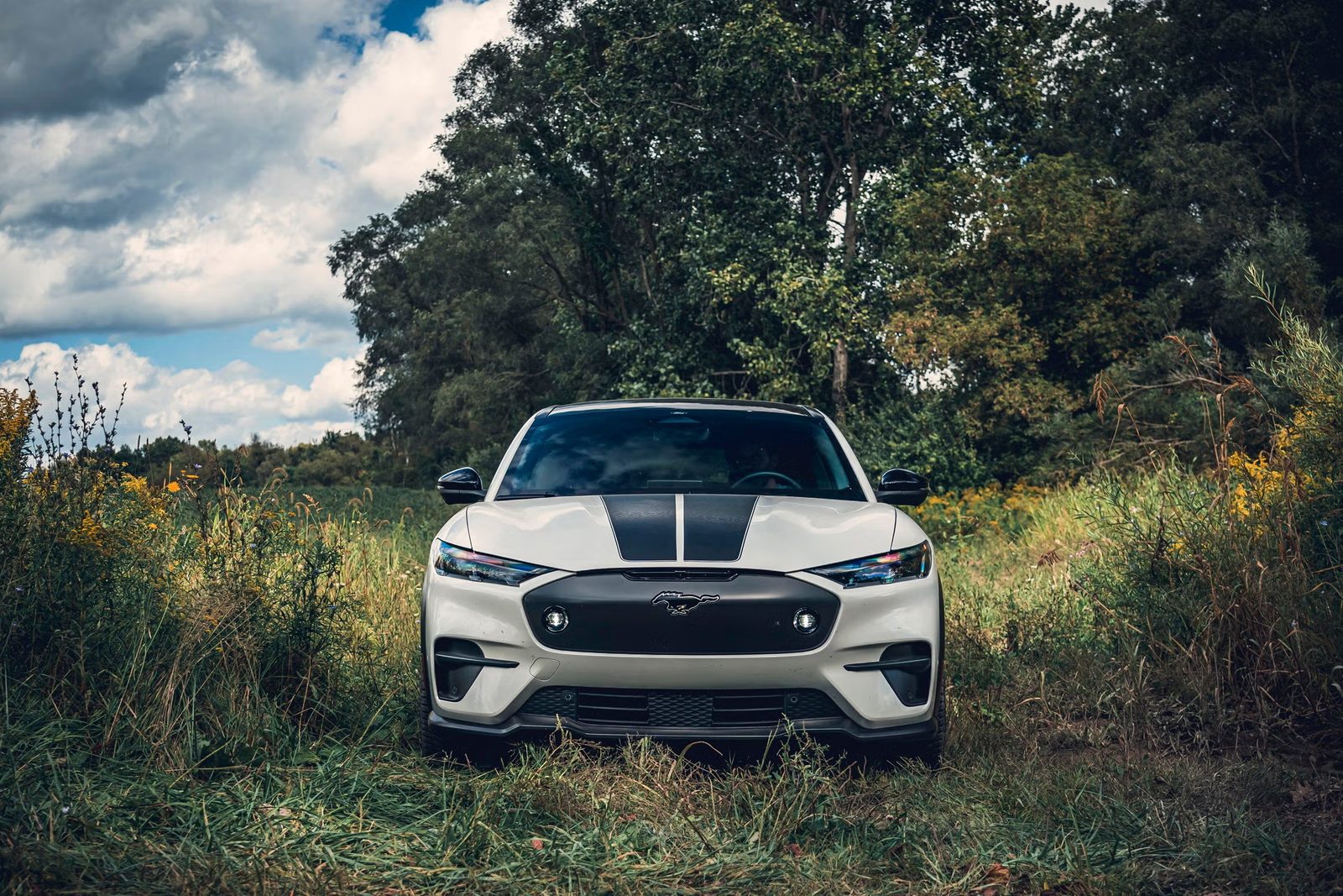 Ford Mustang Mach-E 2024 — экстерьер, вид спереди, рынок US